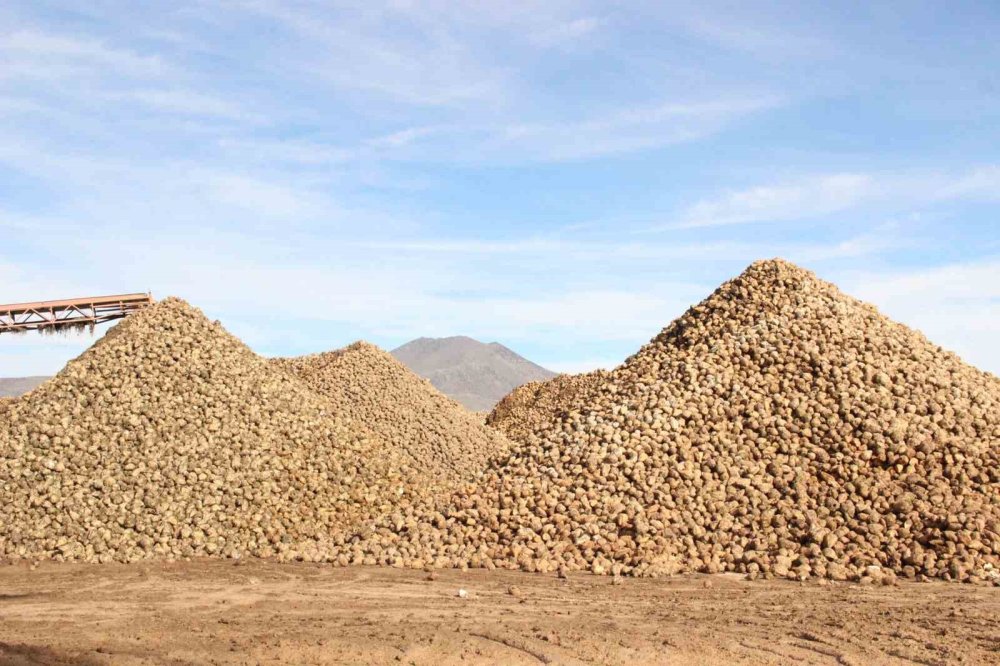 Karaman’da Pancar Üretiminde Rekor