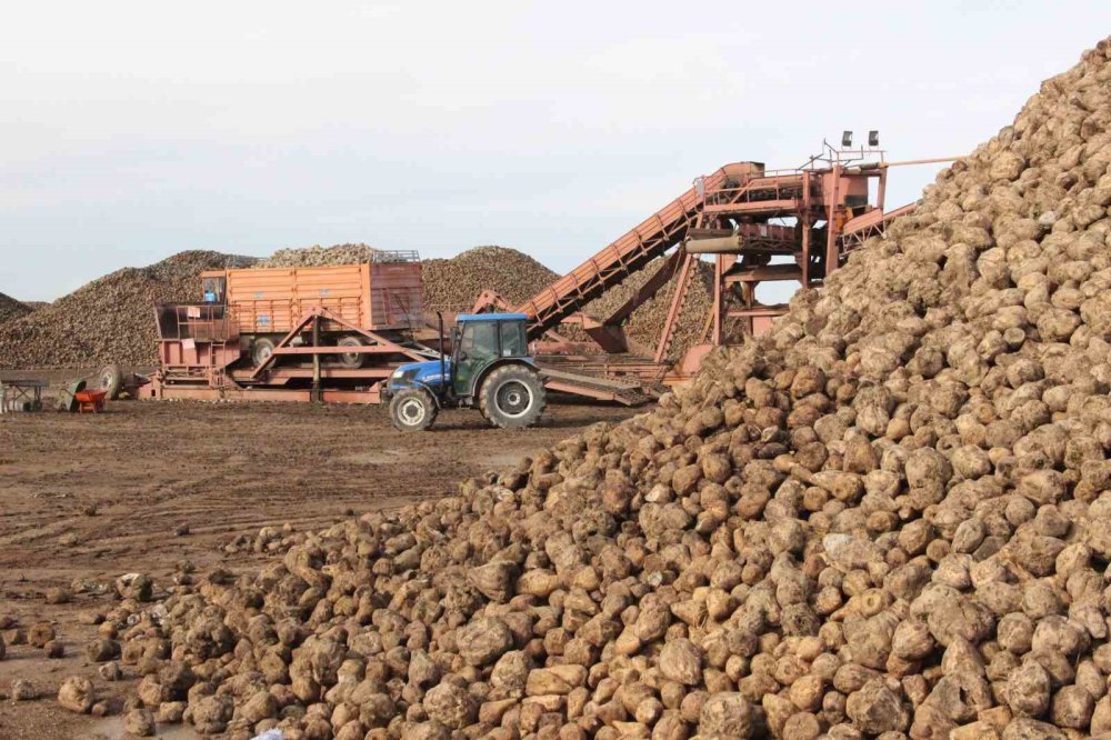 Karaman’da Pancar Üretiminde Rekor