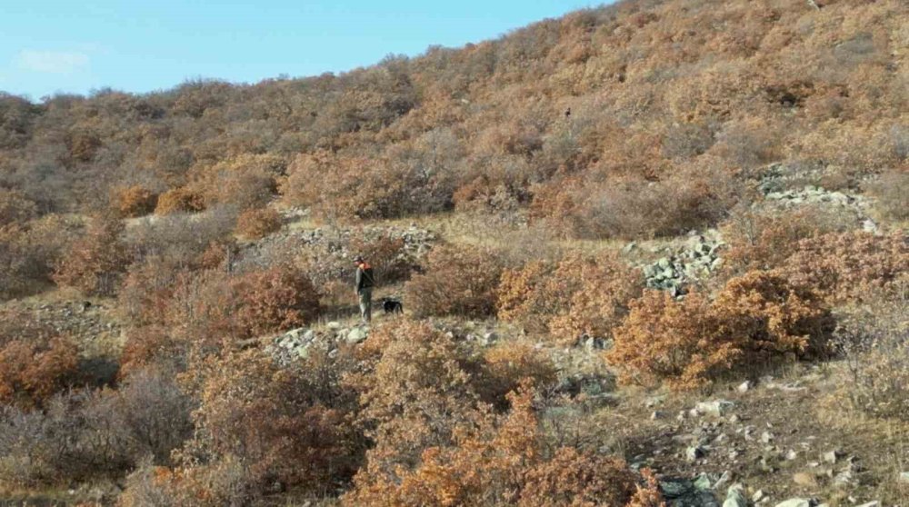 Aksaray'da Dron İle Avcı Takibi