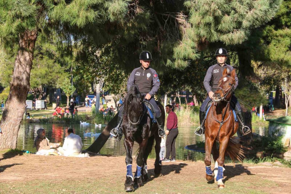 Antalya’nın Orman Ve Sahilleri Börü Ve Vinner’a Emanet