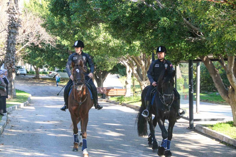 Antalya’nın Orman Ve Sahilleri Börü Ve Vinner’a Emanet