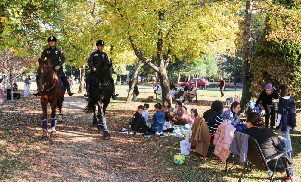 Antalya’nın Orman Ve Sahilleri Börü Ve Vinner’a Emanet