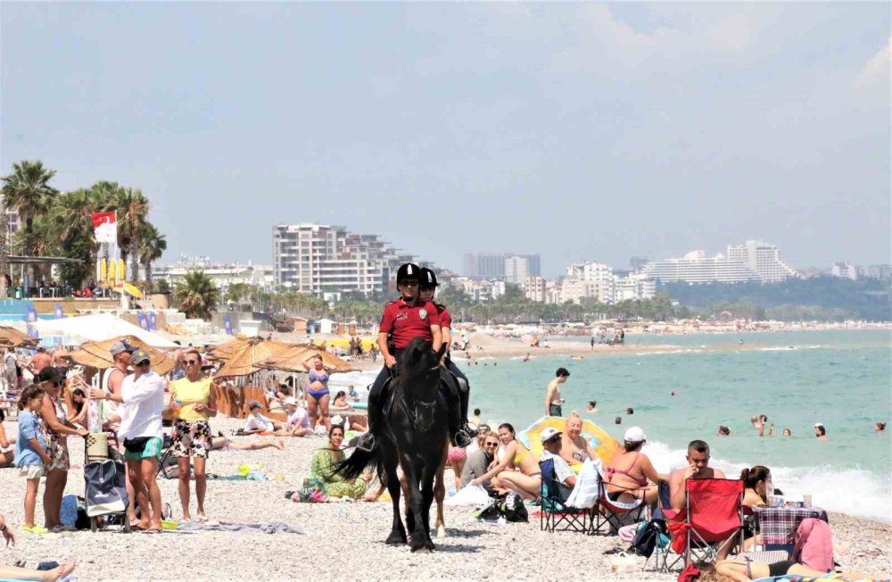 Antalya’nın Orman Ve Sahilleri Börü Ve Vinner’a Emanet