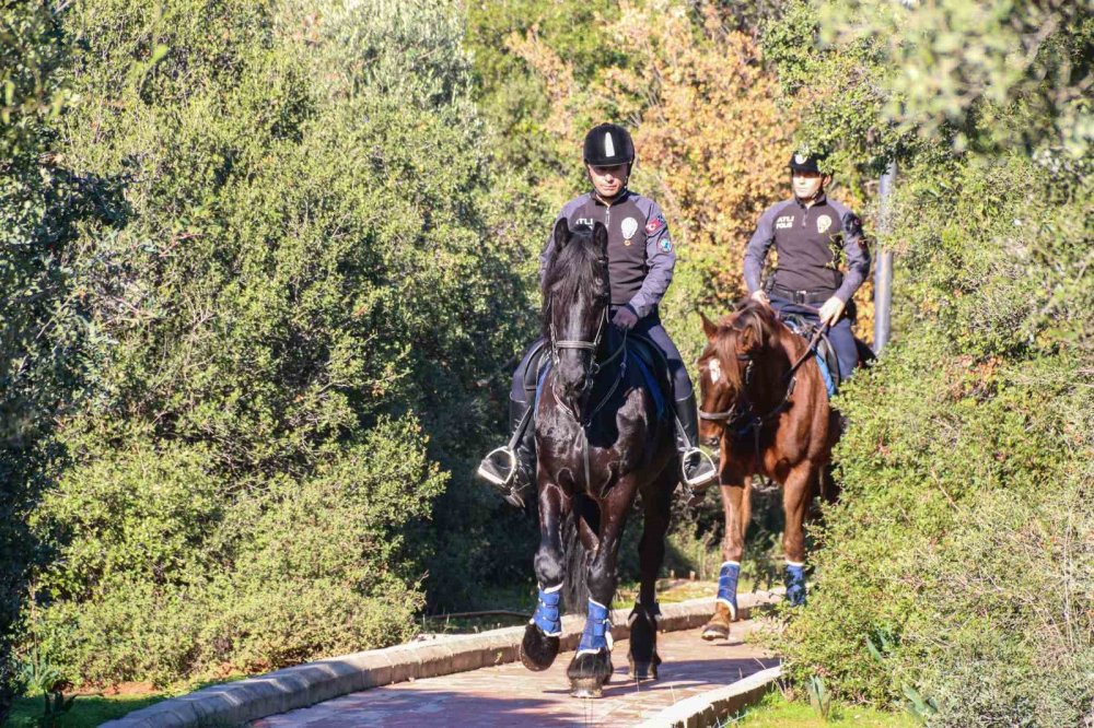 Antalya’nın Orman Ve Sahilleri Börü Ve Vinner’a Emanet