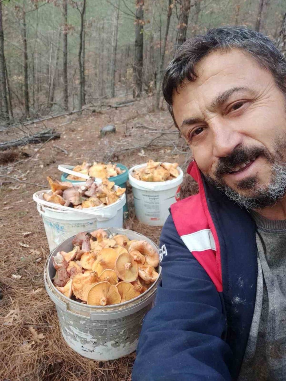 Mantar Satışında Dikkat Çeken Rakamlar