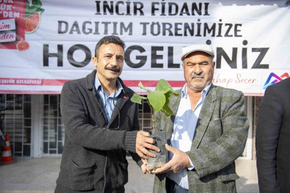 Mersin Büyükşehir Belediyesinden Üreticilere İncir Fidanı Desteği