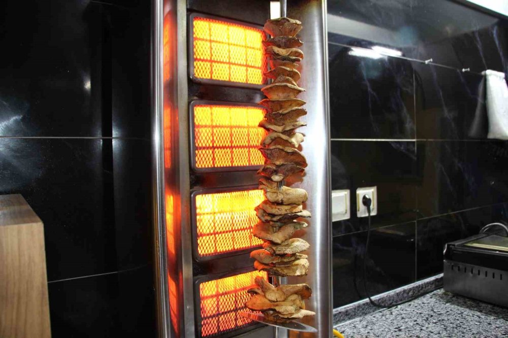 Antalya'da Mantar Döner Oldu