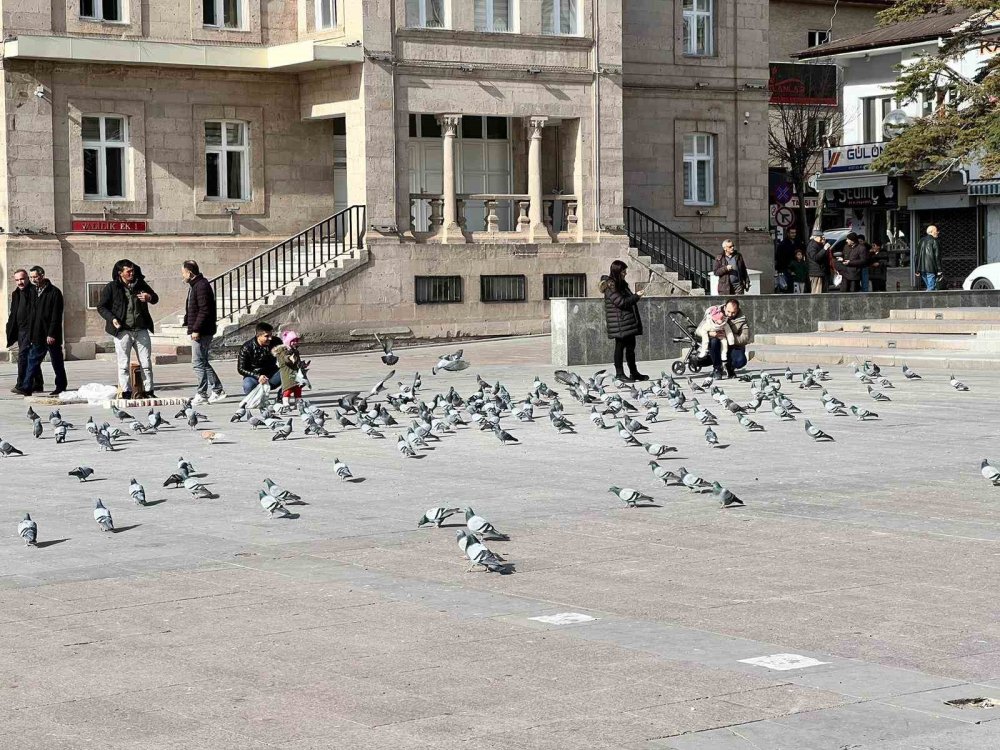 Aksaray'da Anormal Sıcaklar ve Kuraklık Endişesi