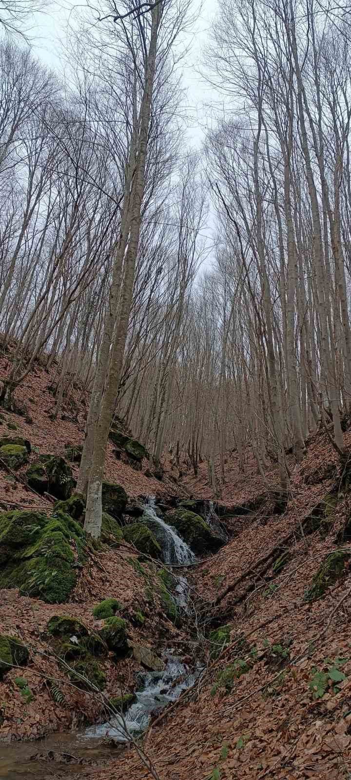 Eskişehirli Doğa Severlerinin 14 Kilometrelik Orman Keşfi