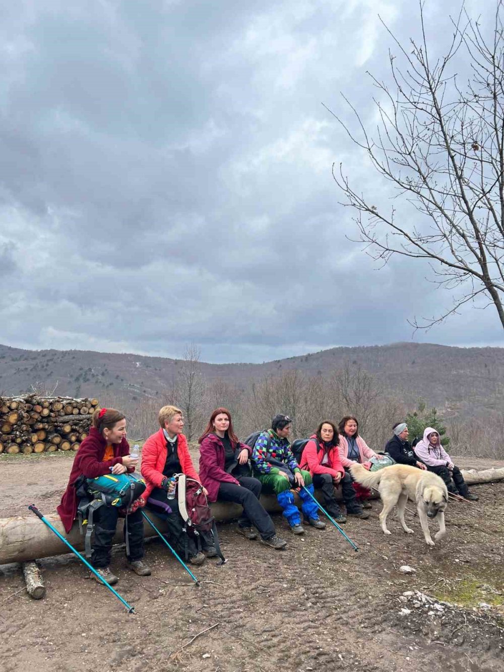 Eskişehirli Doğa Severlerinin 14 Kilometrelik Orman Keşfi