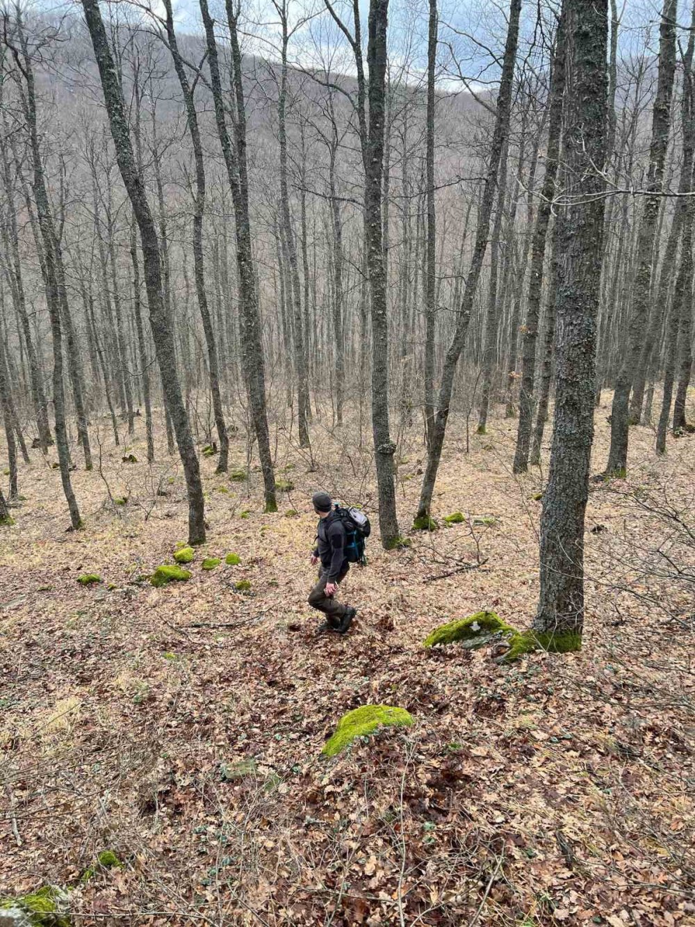 Eskişehirli Doğa Severlerinin 14 Kilometrelik Orman Keşfi