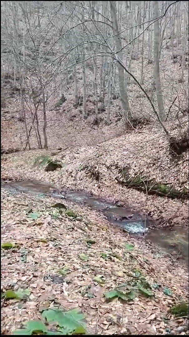 Eskişehirli Doğa Severlerinin 14 Kilometrelik Orman Keşfi