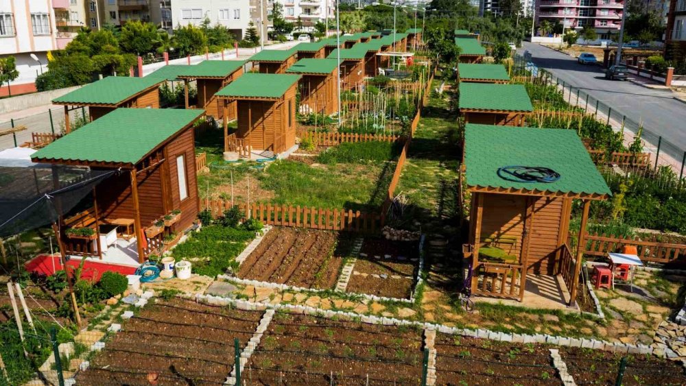 Mersin'de ’Hobi Bahçeleri’ne Büyük İlgi