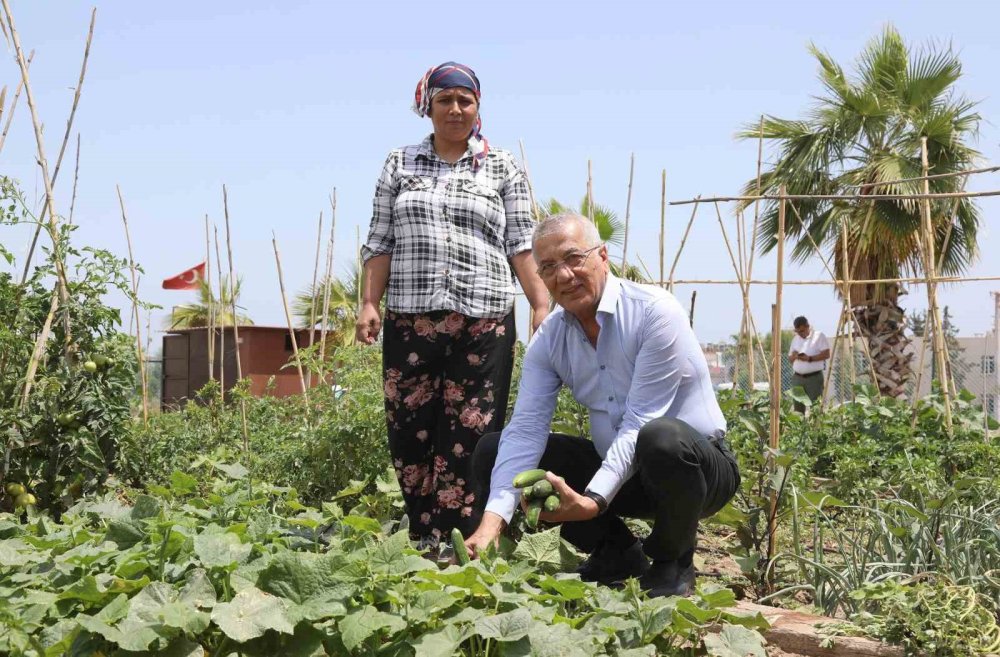 Mersin'de ’Hobi Bahçeleri’ne Büyük İlgi