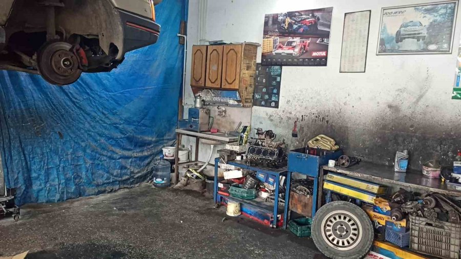 Küp Şeker Çalan Serçeler İş Yerinin Maskotu Oldu