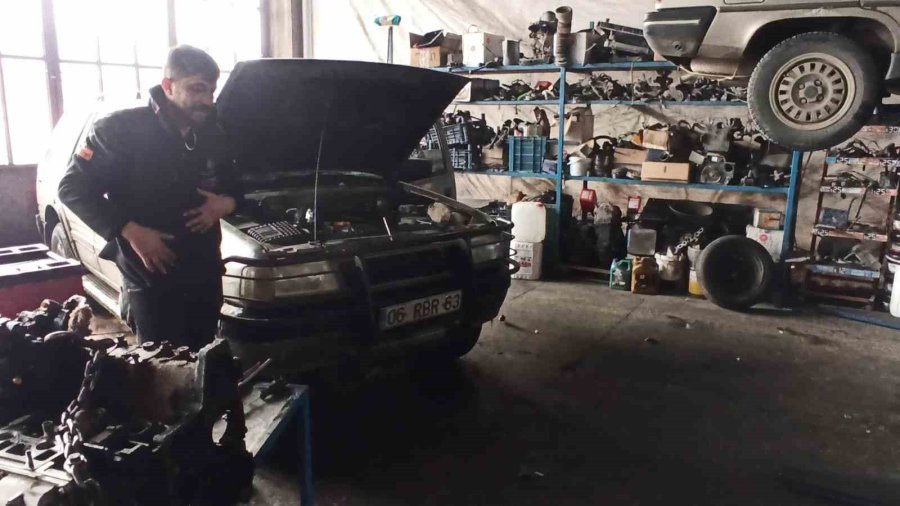 Küp Şeker Çalan Serçeler İş Yerinin Maskotu Oldu