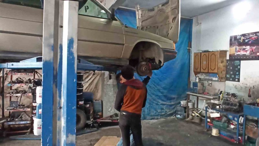 Küp Şeker Çalan Serçeler İş Yerinin Maskotu Oldu