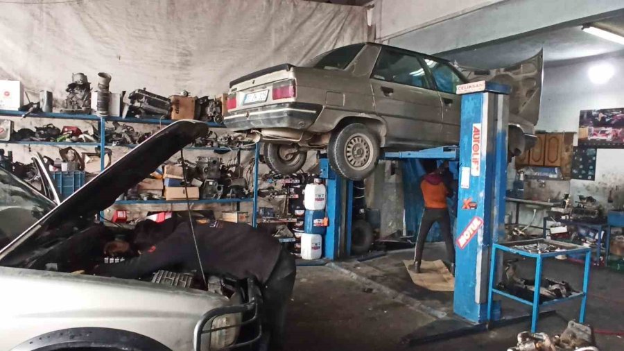 Küp Şeker Çalan Serçeler İş Yerinin Maskotu Oldu