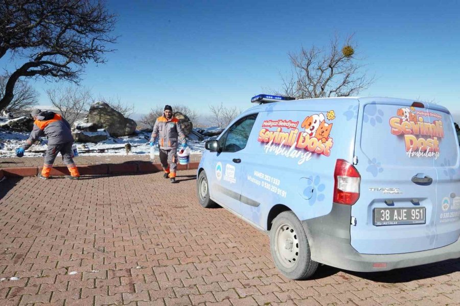 Melikgazi’de Sahipsiz Ve Yaralı Hayvanlar ‘sevimli Dost Ambulansı’na Emanet