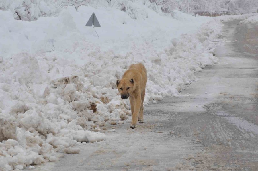 Mersin’de Kar Yağışı: Karaman Yolu Büyük Araçlara Kapatıldı