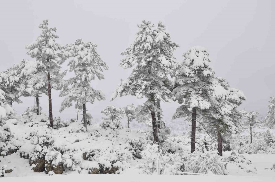 Mersin’de Kar Yağışı: Karaman Yolu Büyük Araçlara Kapatıldı