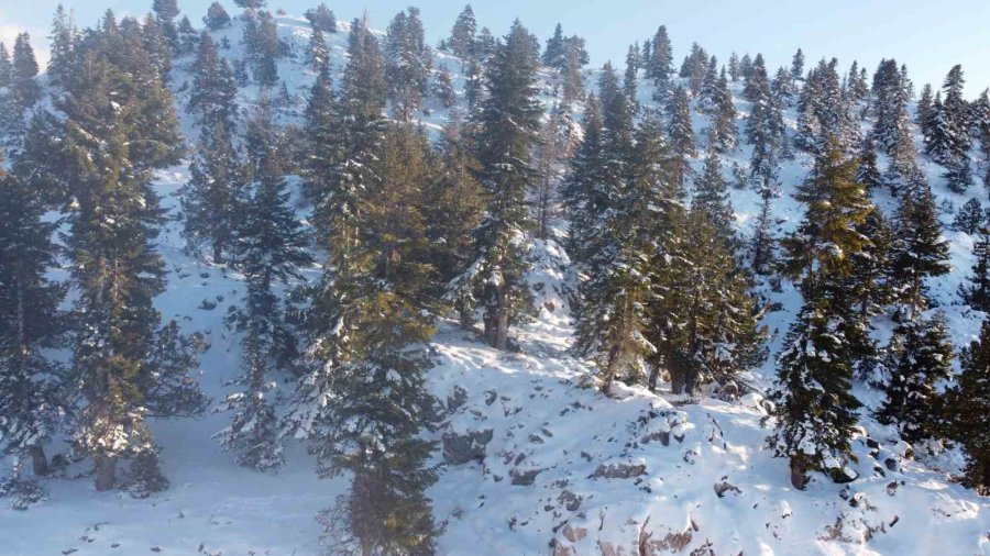 Toroslar Beyaz Gelinliğini Giydi, İzlemesi Keyif Veren Görüntüler Çıktı