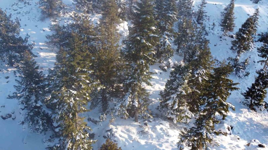 Toroslar Beyaz Gelinliğini Giydi, İzlemesi Keyif Veren Görüntüler Çıktı