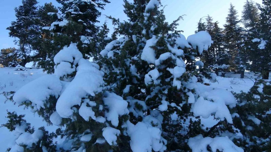 Toroslar Beyaz Gelinliğini Giydi, İzlemesi Keyif Veren Görüntüler Çıktı