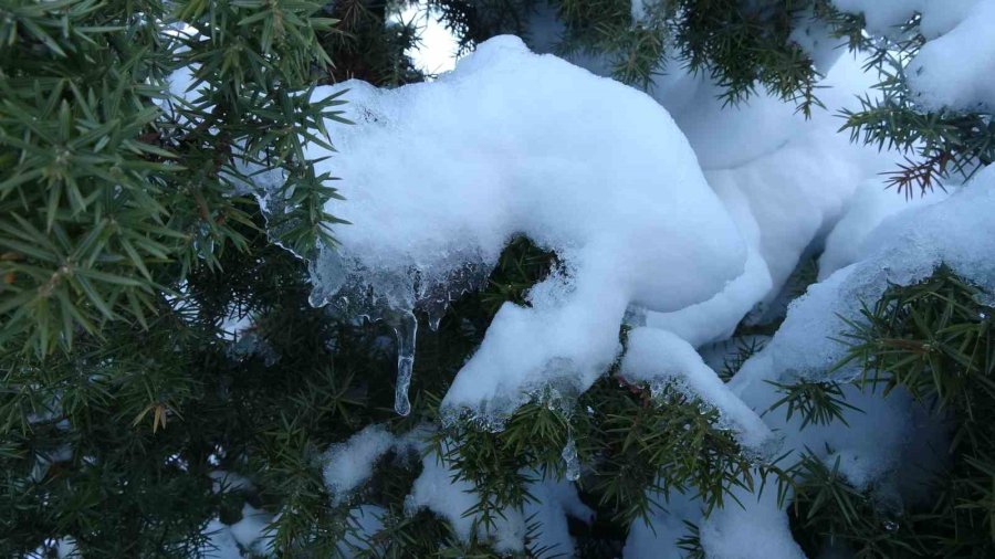Toroslar Beyaz Gelinliğini Giydi, İzlemesi Keyif Veren Görüntüler Çıktı