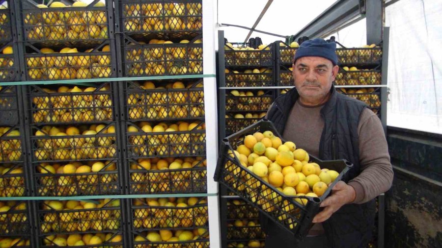 “üretici-tüketici El Ele Kampanyası” İle Mersin’den Aksaray’a 20 Ton Ücretsiz Limon Gönderildi