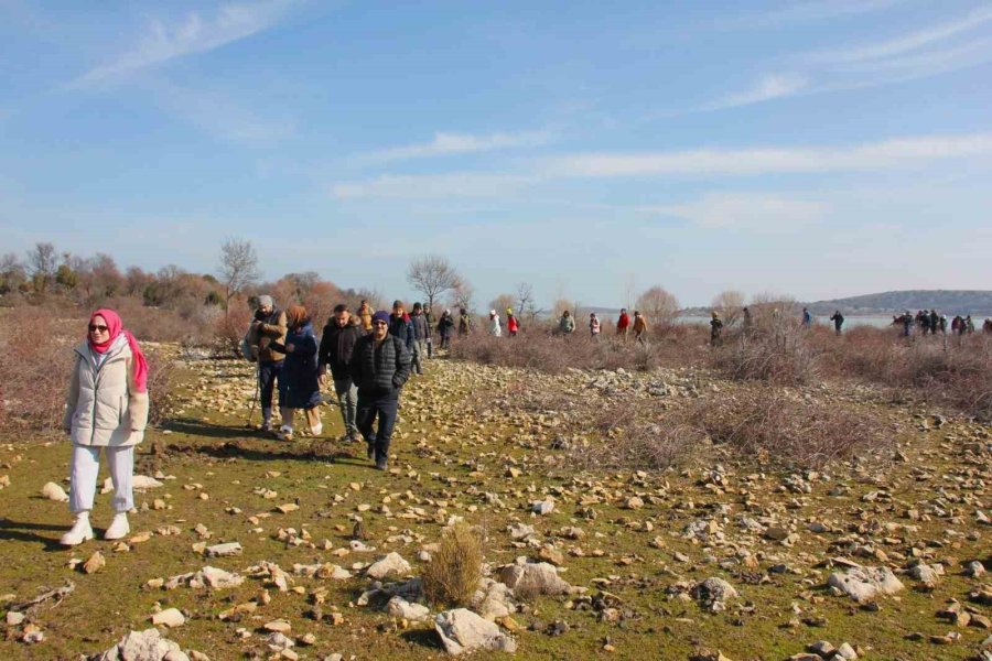 Beyşehir Gölü’nde Yabani Atların Yaşam Sürdüğü Ada İlgi Odağı Oldu
