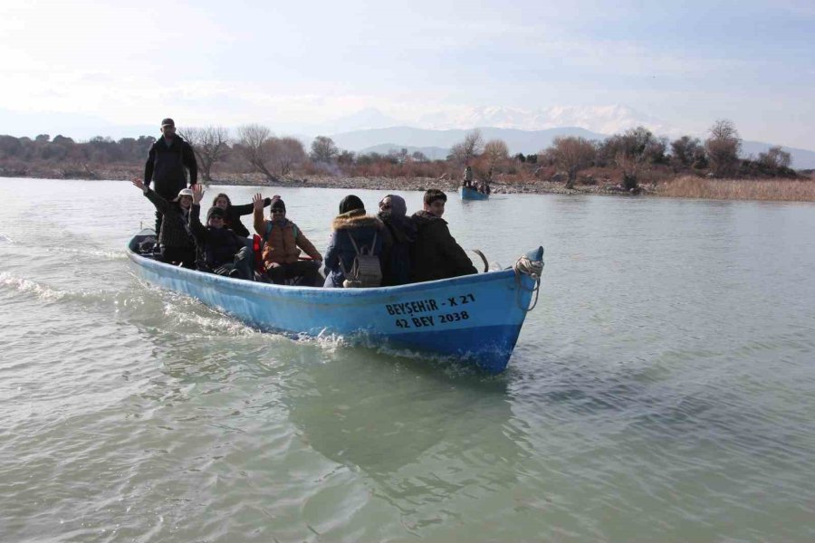 Beyşehir Gölü’nde Yabani Atların Yaşam Sürdüğü Ada İlgi Odağı Oldu