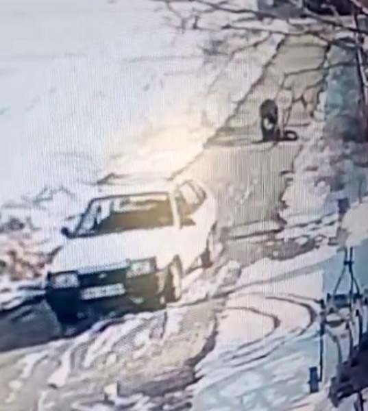 Konya’da Çaycının Vahşice Öldürüldüğü Anlar Kamerada