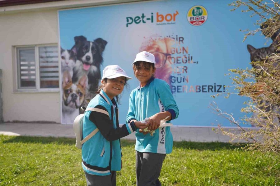 Sokak Hayvanlarının Yeni Yuvası: ’pet-i Bor’