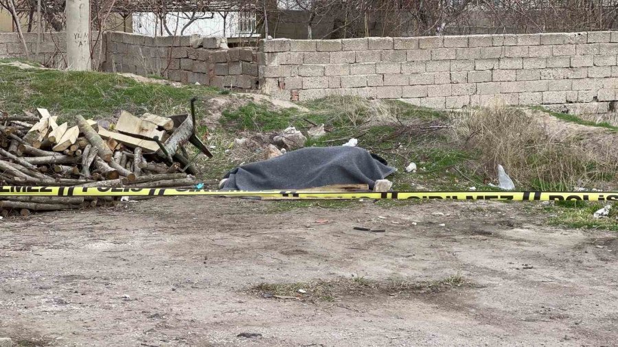 Odun Kesmeye Diye Gitti, Cansız Bedeni Bulundu
