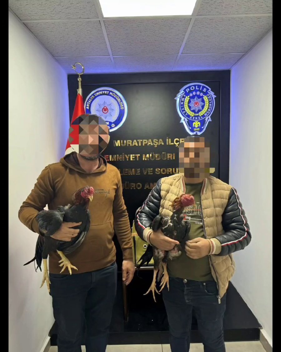 Antalya’da Horoz Dövüştüren 5 Kişi Yakalandı