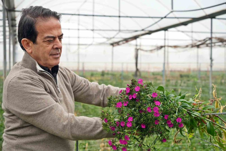 Antalya’dan Sevgililer Günü İçin Dünyaya Türkiye Nüfusu Kadar Çiçek