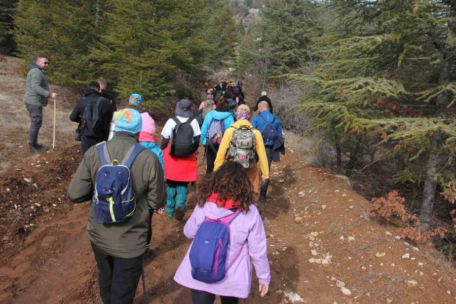 Kar Şenliğinde Dağda Kar Bulamadılar