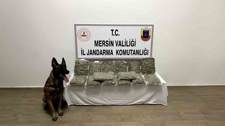 Jandarma Mersin’de Suç Ve Suçluya Geçit Vermedi