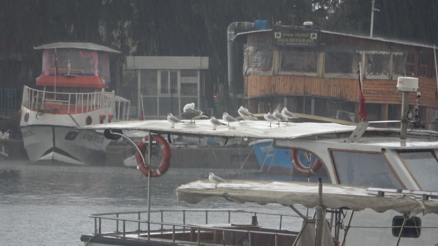 Mersin’de Sağanak Yağış Ve Fırtına Etkili Oldu