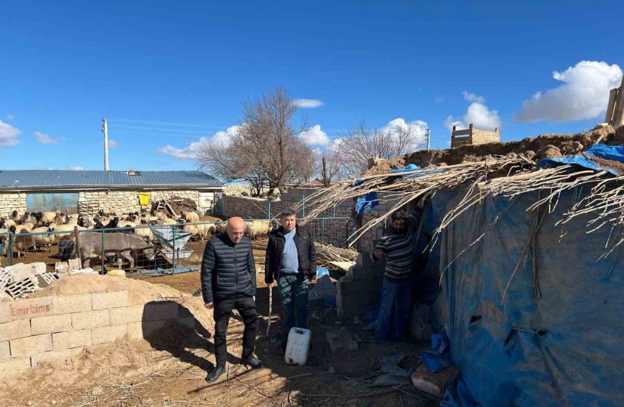 Karaman’da Çatısı Çöken Ahırdaki 20 Koyun Telef Oldu