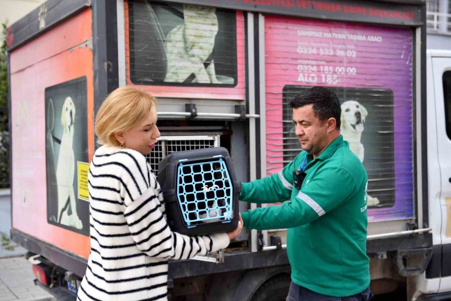 Mersin’de Saplandığı Demirden Kurtarılan Kedi Sağlığına Kavuştu