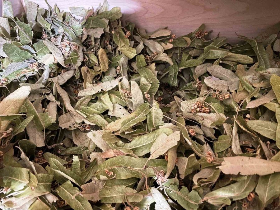 Değişken Havalarda Bağışıklık Sistemi İçin ‘baharat Çayı’ Önerisi