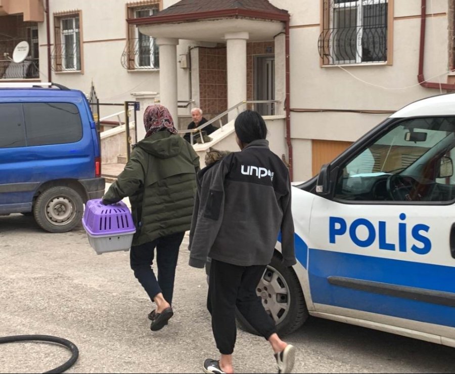 Karaman’da Evde Çıkan Yangında Kedilerini Kurtarıp Dışarıya Çıktılar