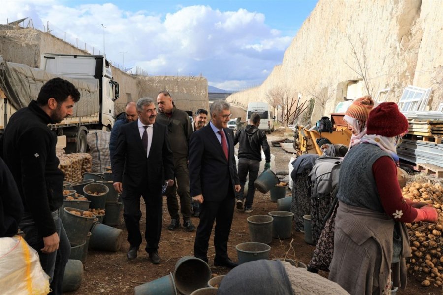 Niğde’nin Doğal Kaya Oyma Depoları Ekonomiye Katkı Sağlıyor