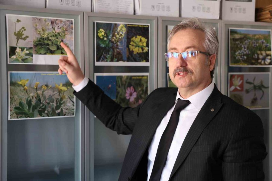 Konya Ve Çevresinde 15 Yeni Tür Bitki Bilim Dünyasına Kazandırıldı