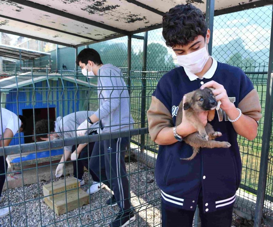 Konyaaltı’nda Sokak Hayvanlarına Öğrenci Eli Değdi