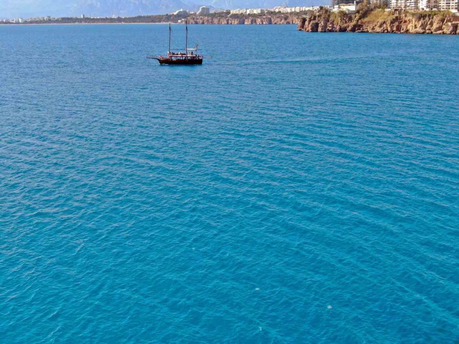 Dev Denizanalarının Sürü Halindeki Geçişleri Dron İle Görüntülendi