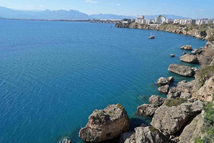 Dev Denizanalarının Sürü Halindeki Geçişleri Dron İle Görüntülendi