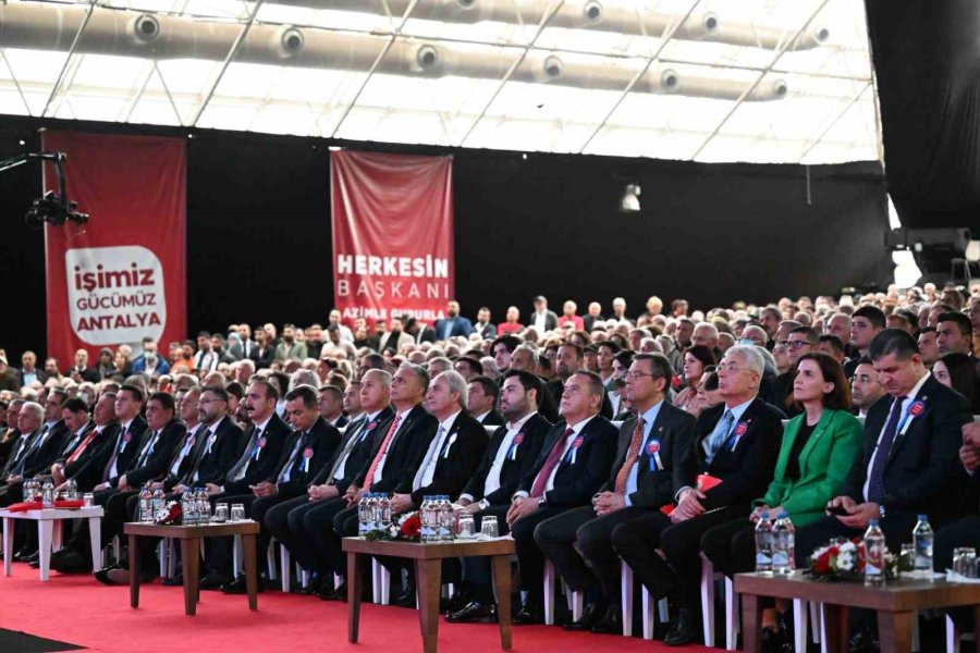 Özel: "türkiye İttifakı, Milli Takım Gol Attıkça Ayağa Kalkıp Sevinen Herkesin Oyuna Talip"